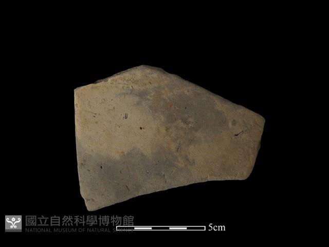 陶片藏品圖，第2張