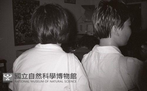 1950至2006年臺灣常民生活藏品圖，第1張