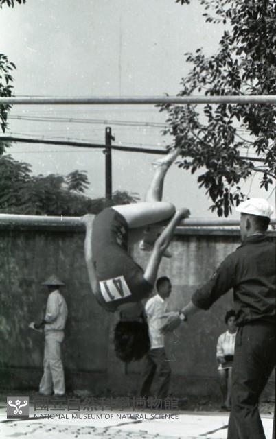 1950至2006年臺灣常民生活藏品圖，第1張