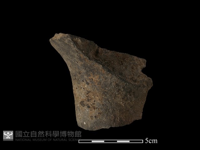 陶蓋藏品圖，第2張