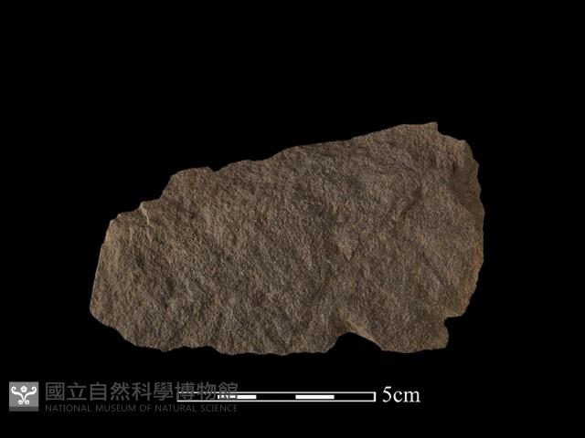 石片器藏品圖，第1張