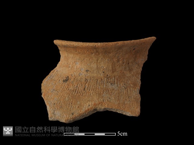 陶罐藏品圖，第1張