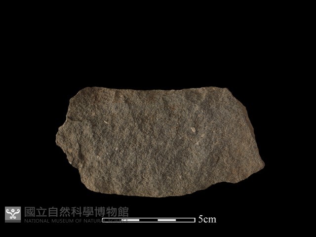 石片器藏品圖，第1張