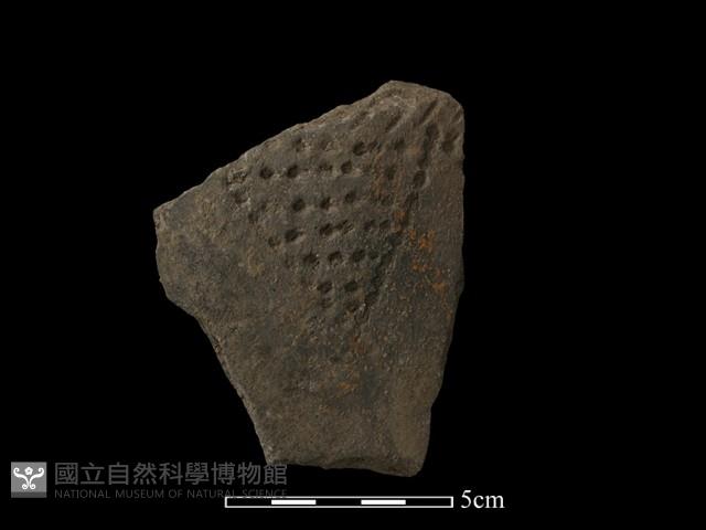 陶片藏品圖，第1張