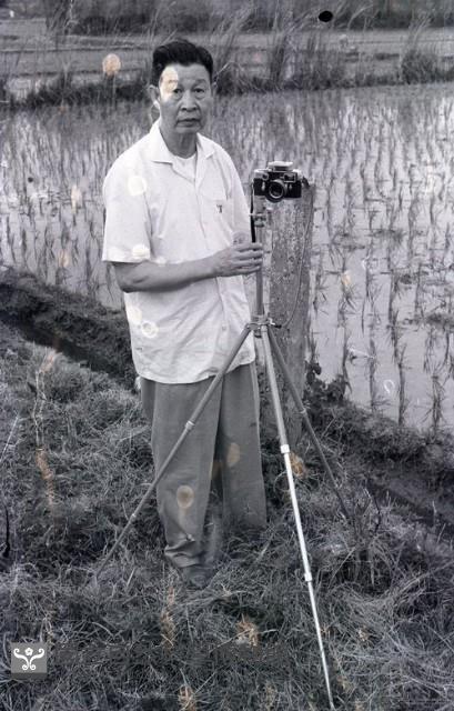 1950至2006年臺灣常民生活藏品圖，第1張