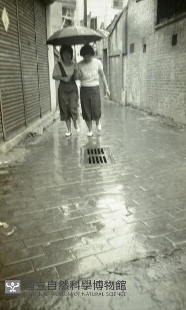 1950至2006年臺灣常民生活藏品圖，第1張