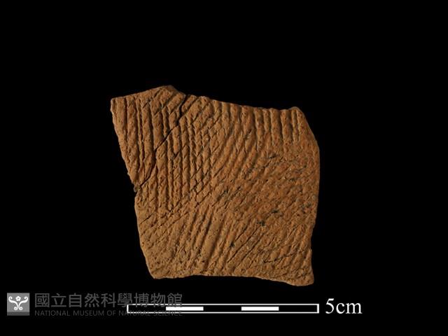 陶罐藏品圖，第1張