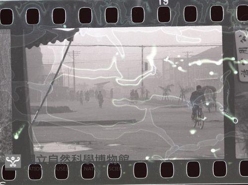 1950至2006年臺灣常民生活藏品圖，第1張