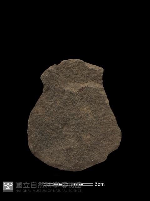 石片藏品圖，第1張