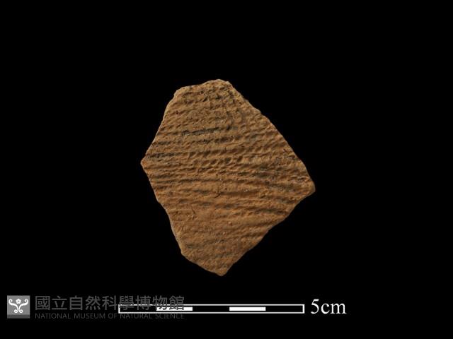 陶罐藏品圖，第1張