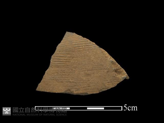 陶片藏品圖，第1張