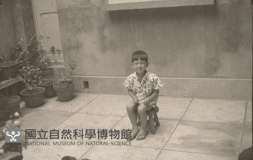 1950至2006年臺灣常民生活藏品圖，第1張