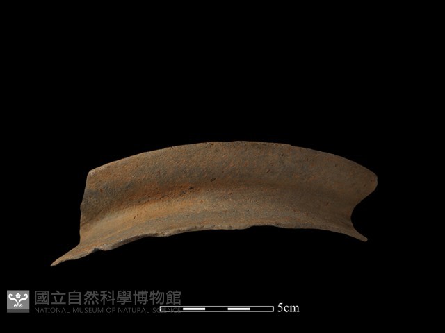 陶罐藏品圖，第2張