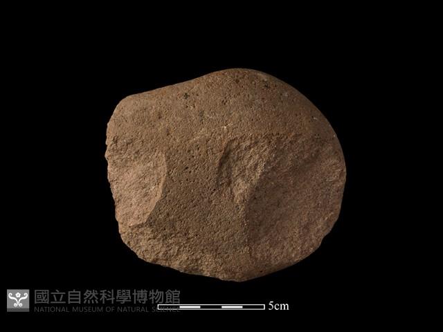 石核藏品圖，第1張