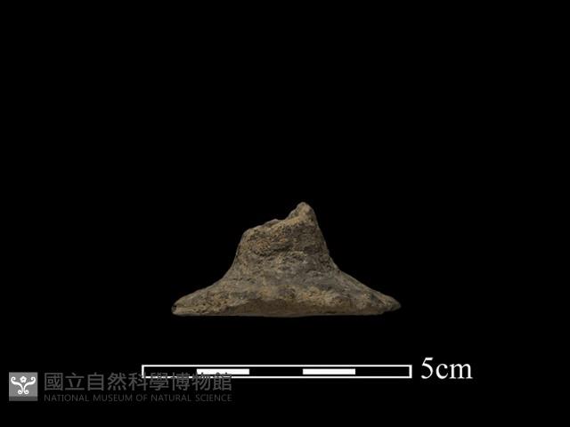 紡輪藏品圖，第2張