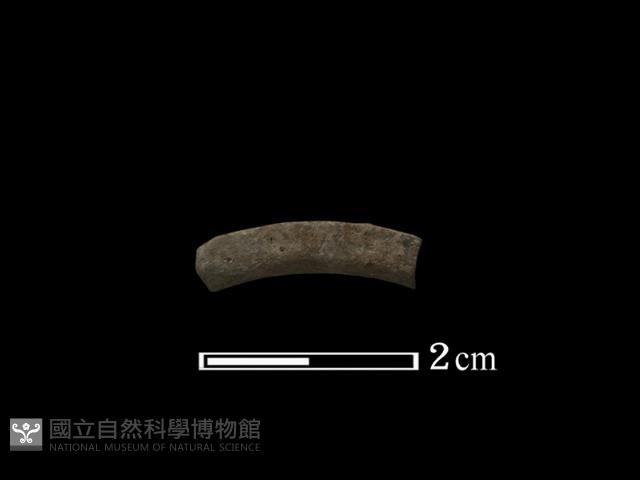 陶環藏品圖，第1張