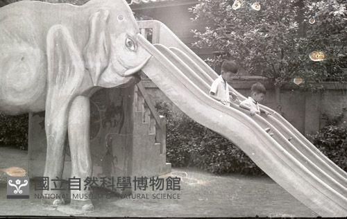 1950至2006年臺灣常民生活藏品圖，第1張