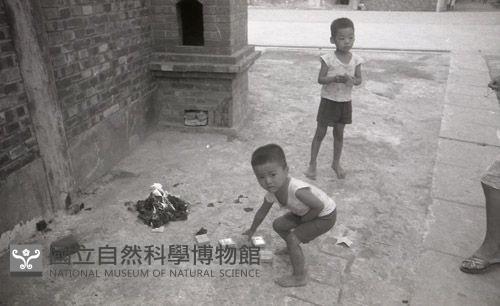 1950至2006年臺灣常民生活藏品圖，第1張