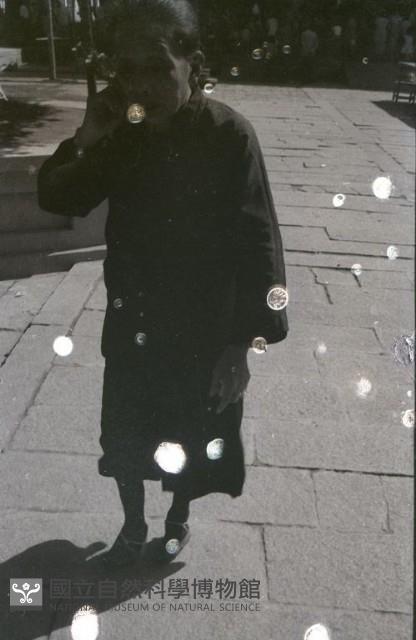 1950至2006年臺灣常民生活藏品圖，第1張
