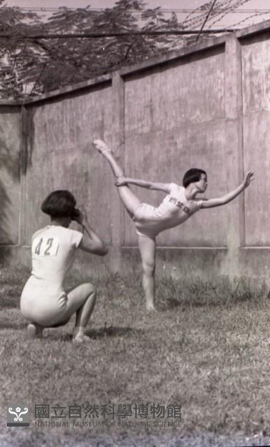 1950至2006年臺灣常民生活藏品圖，第1張