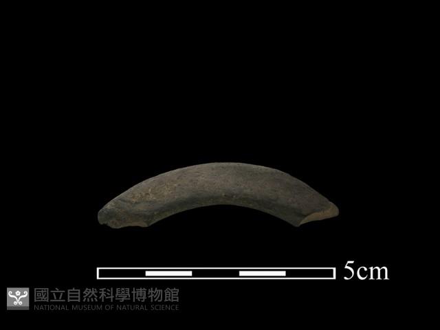 陶環藏品圖，第2張