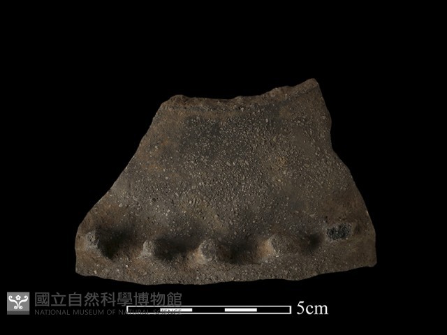 陶罐藏品圖，第2張