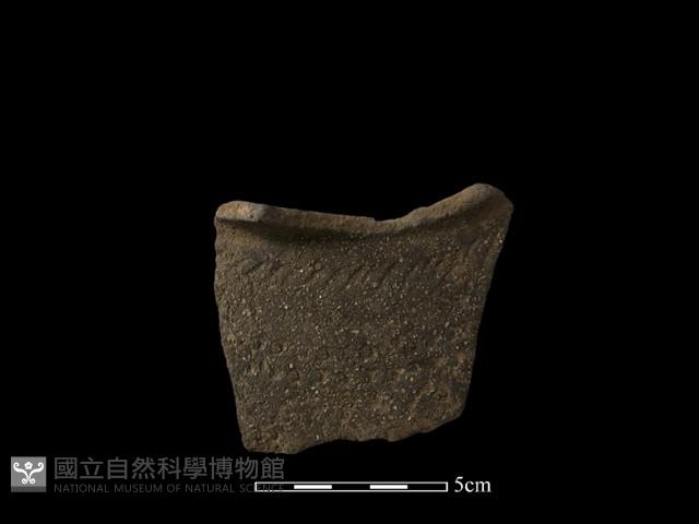 陶罐藏品圖，第1張