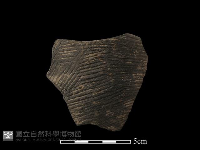 陶片藏品圖，第1張