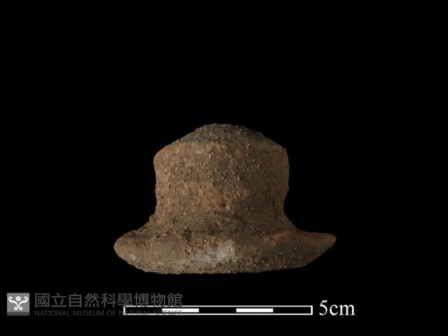 陶蓋鈕藏品圖，第1張