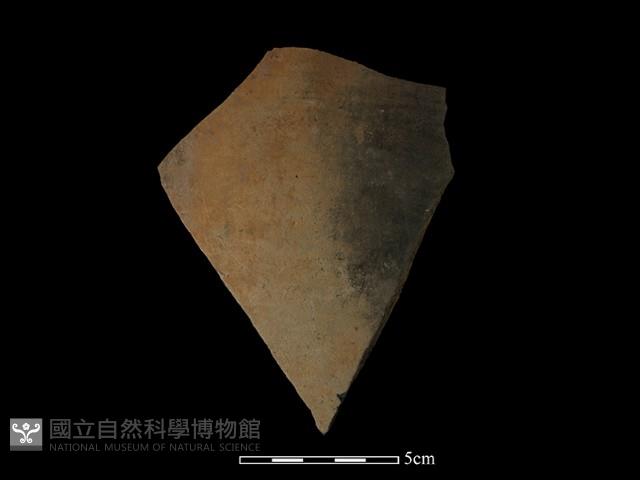 陶片藏品圖，第1張