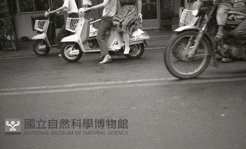 1950至2006年臺灣常民生活藏品圖，第1張