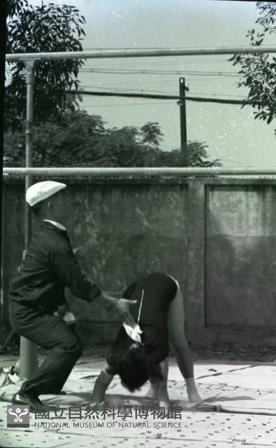 1950至2006年臺灣常民生活藏品圖，第1張