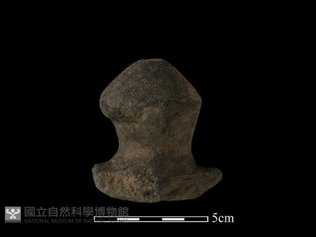 陶蓋鈕藏品圖，第1張