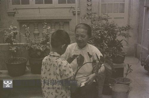 1950至2006年臺灣常民生活藏品圖，第1張