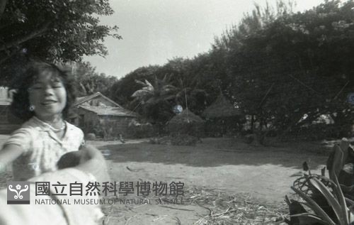 1950至2006年臺灣常民生活藏品圖，第1張