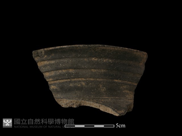 陶罐藏品圖，第1張