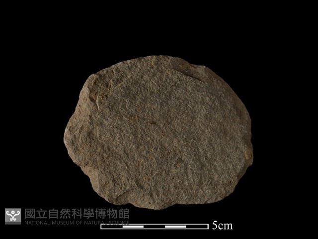 石片器藏品圖，第2張