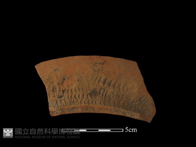 陶罐藏品圖，第1張