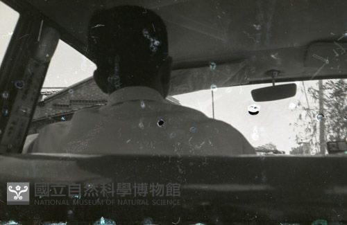 1950至2006年臺灣常民生活藏品圖，第1張