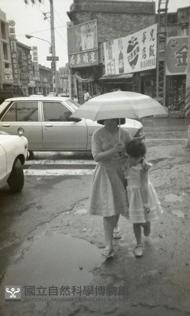 1950至2006年臺灣常民生活藏品圖，第1張