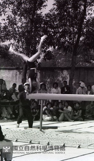 1950至2006年臺灣常民生活藏品圖，第1張