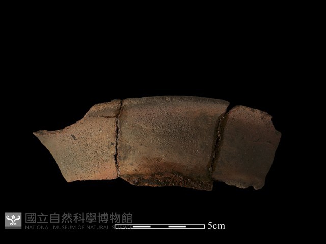 陶罐藏品圖，第1張
