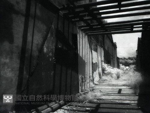 1950至2006年臺灣常民生活藏品圖，第1張