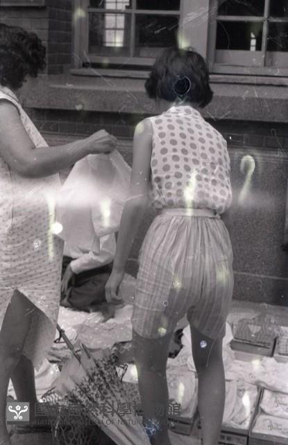 1950至2006年臺灣常民生活藏品圖，第1張