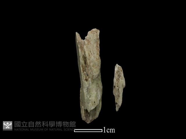 Accession Number:NP-2010-0024 Collection Image