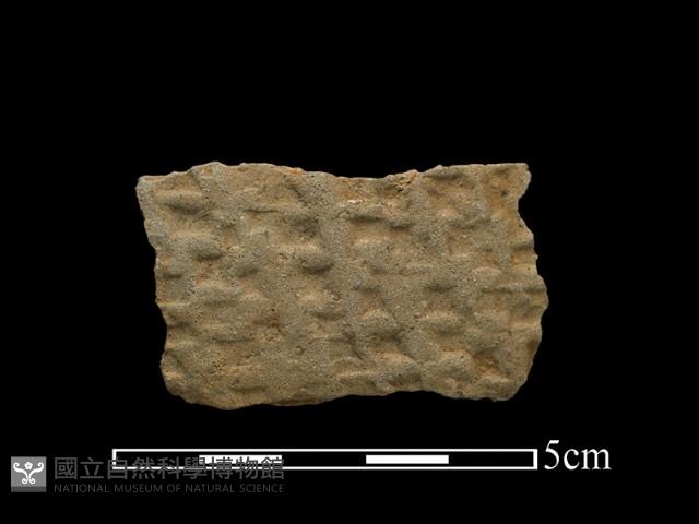 陶片藏品圖，第1張