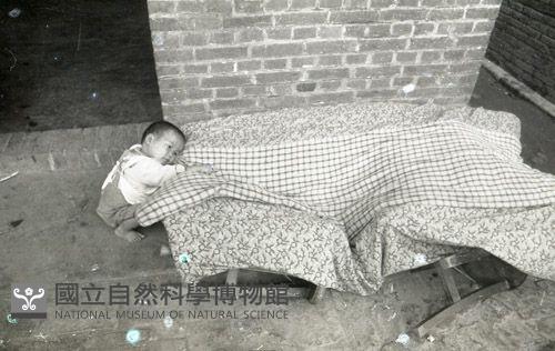 1950至2006年臺灣常民生活藏品圖，第1張