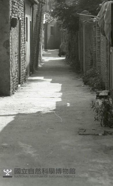 1950至2006年臺灣常民生活藏品圖，第1張