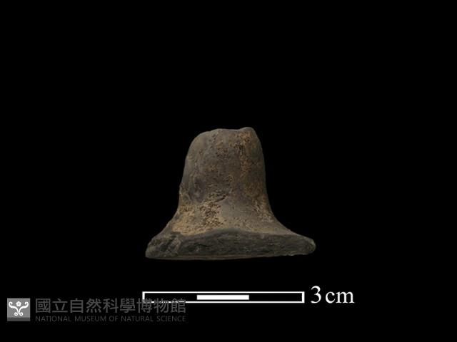 紡輪藏品圖，第1張