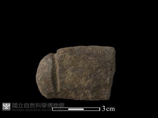 網墜藏品圖，第1張
